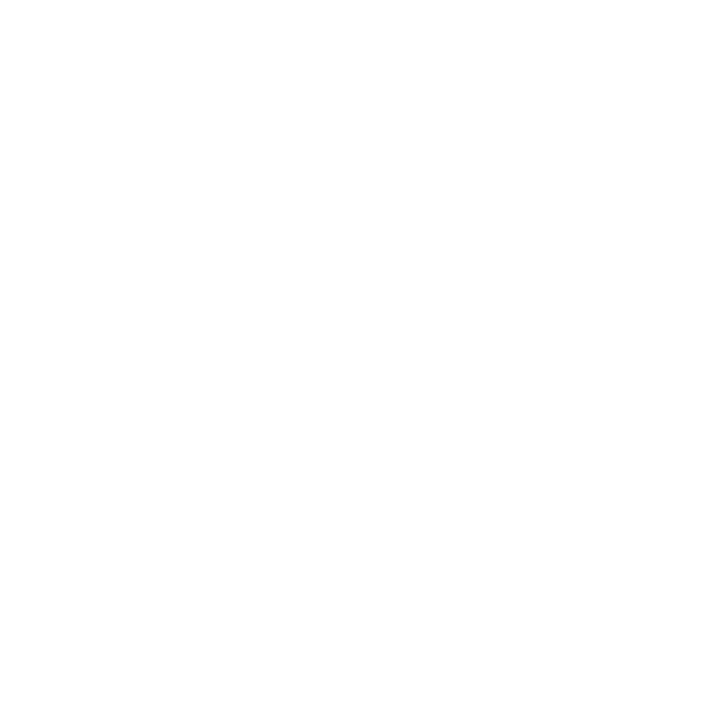 logo txino pool